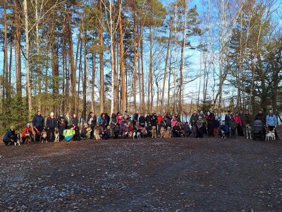 Vánoční procházka s Hafíkem