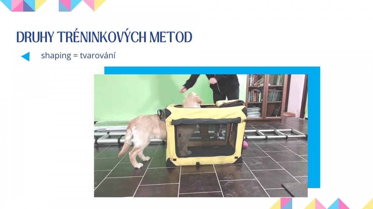 Moderní etický trénink