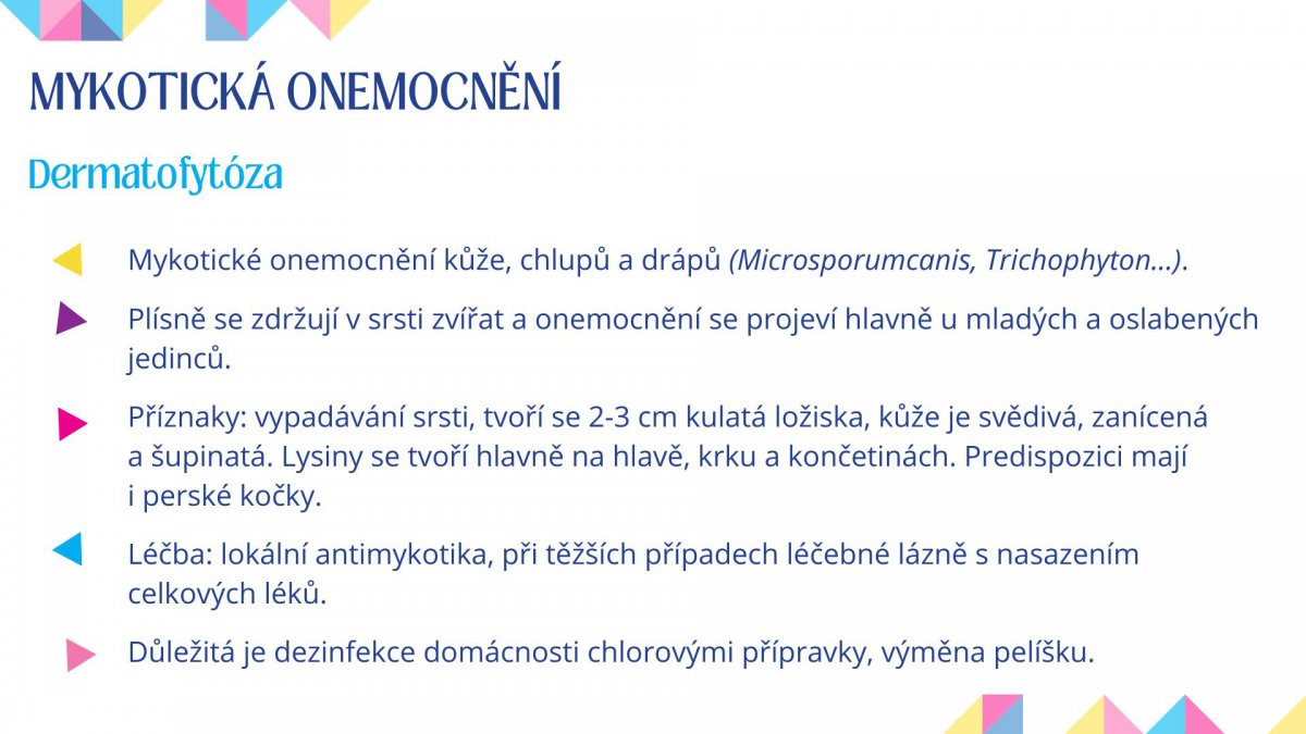 Veterinární péče a první pomoc u psa