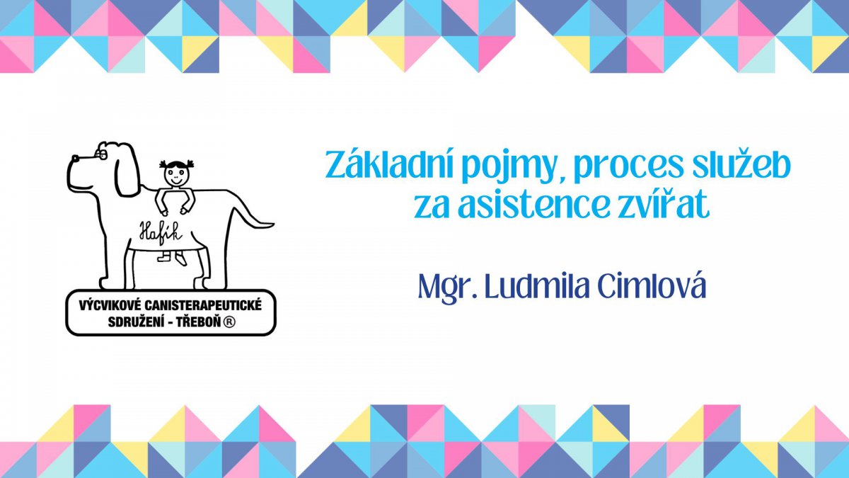 Základní pojmy, proces služeb za asistence zvířat